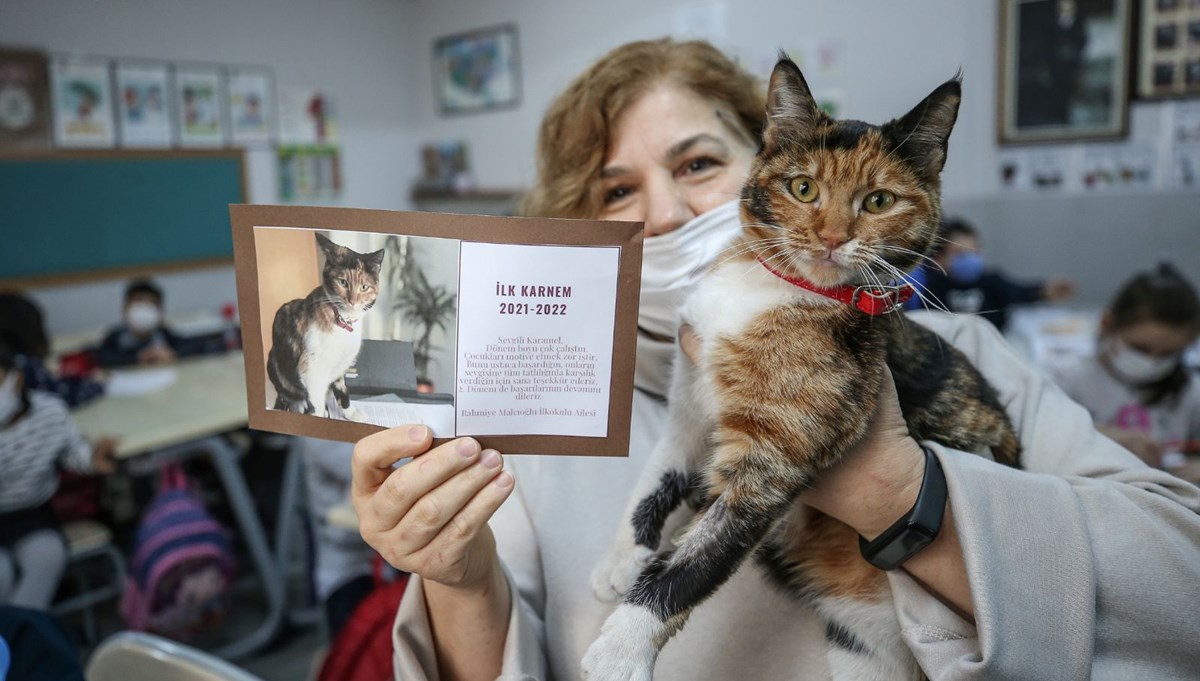 Bursa'da kedi Karamel'e özel karne