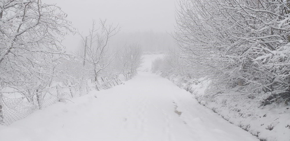 Türkiye soğuk havanın etkisinde: Birçok ilde kar yağışı var - 25