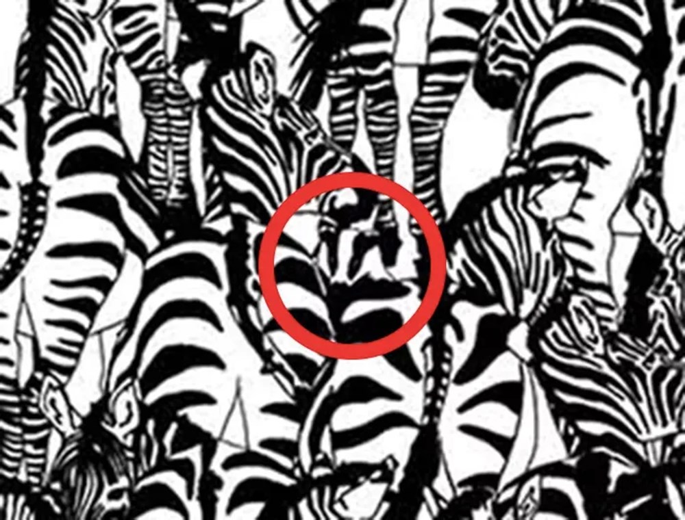 Bu görsel size kim olduğunuzu söylüyor: Resimde ilk önce hangi hayvanı gördünüz? - 87