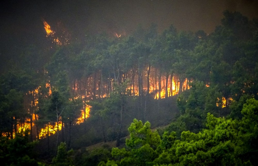 Yunanistan'ın turistik Rodos adasında orman yangını: 40 bin kişi tahliye edildi - 14