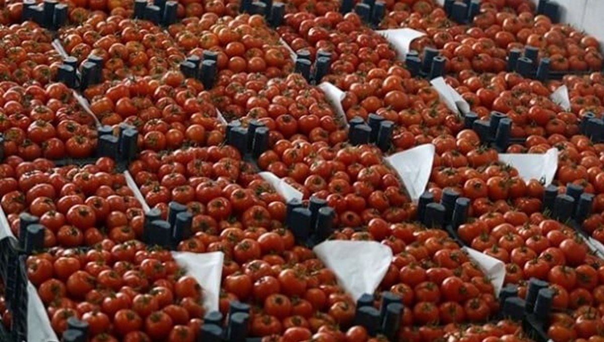Merko Gıda, Frigo Pak'ın yüzde 25'ini aldı