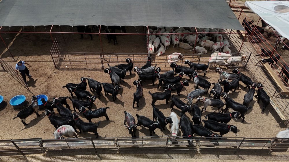 JDhnE1B93UG6cNJOu Bg6w