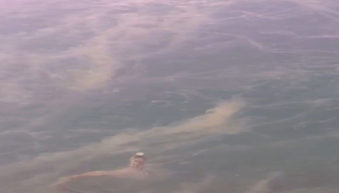 Uzman isim "ciddi tehdit" diyerek uyardı: Örümcek ağı gibi tüm Marmara'yı sarmış durumda