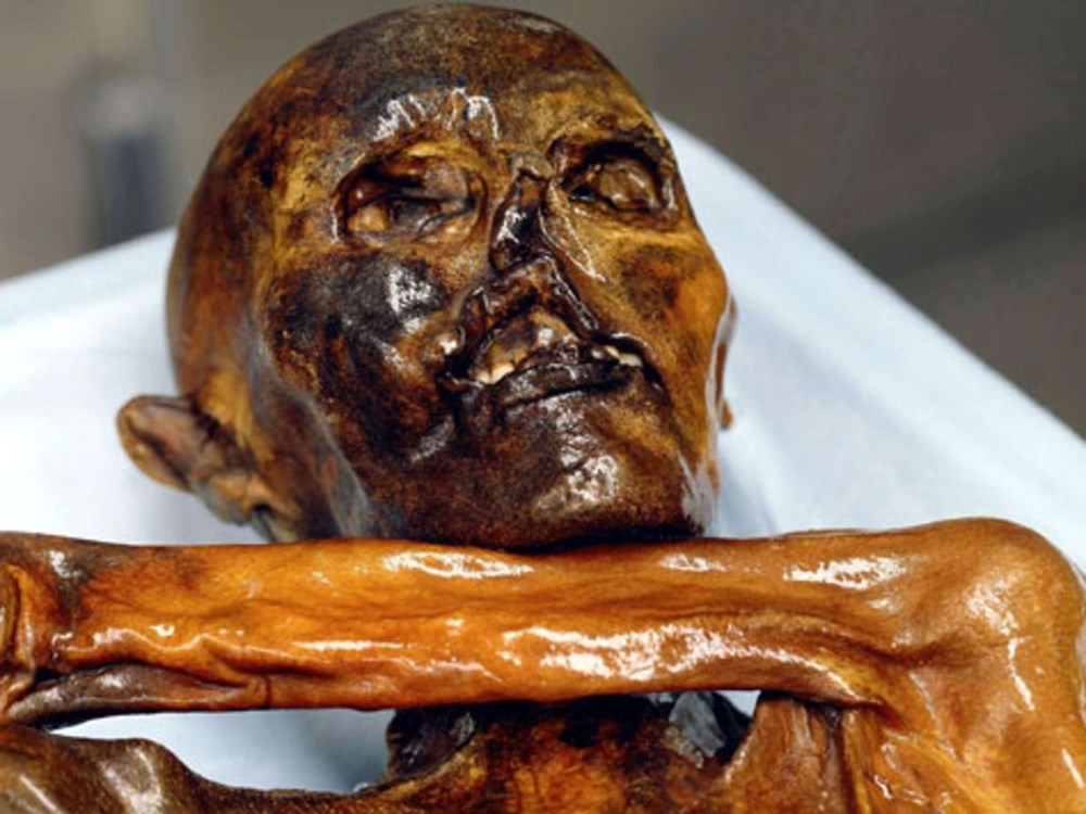 Alp Buzulları’nın erimesiyle 9 bin 500 yıllık tarihi eserler ortaya çıktı - 7