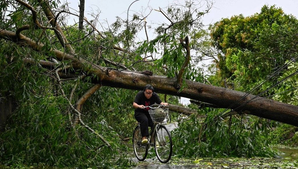 Vietnam'da tayfun karaya çıktı