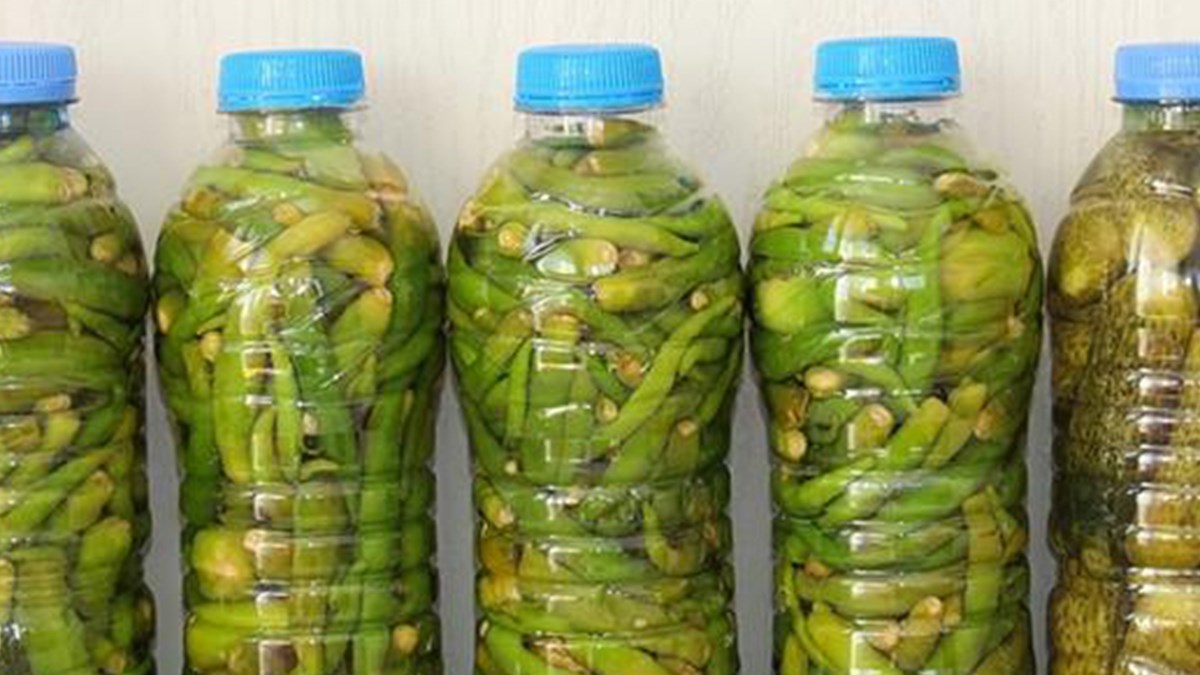 pet sisedeki tursuyu atin saglik