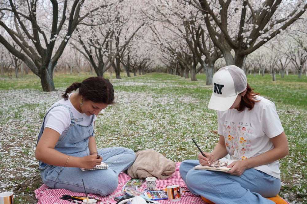 Kayısı Çiçeği Rüyaları: Kartpostaldan Fırlamış Bahar Manzaraları 73