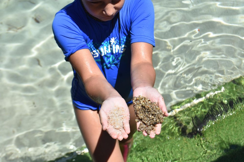 Bodrum Da Yeniden Beyaz Kum Tartismasi Ntv