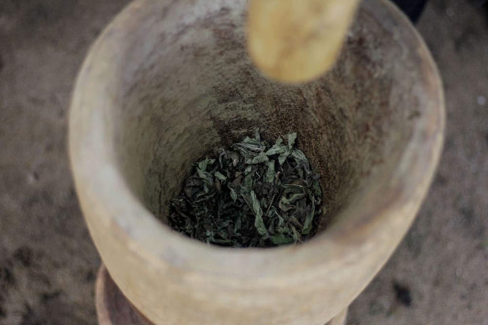 The plant that the African country hopes for, Zumbani: We would be dead if we didn't use it - 12