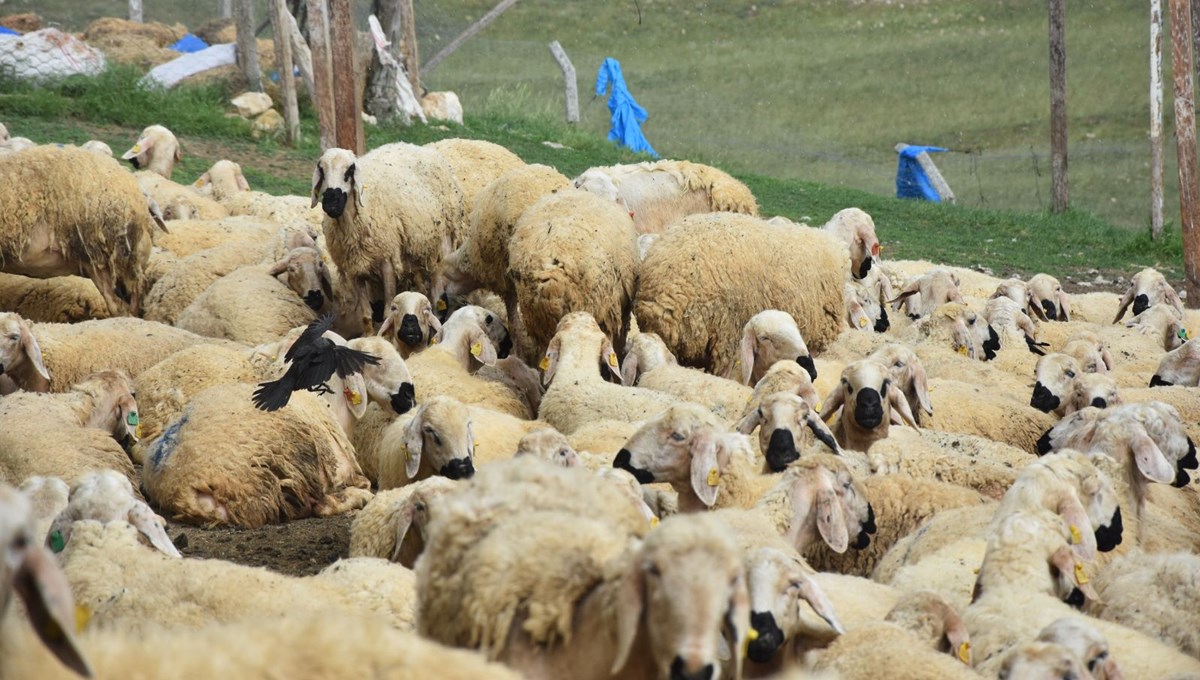 Asgari ücretin iki katına çalışacak eleman bulamıyorlar