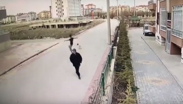 Cinayetten hüküm giyen mahkumların 3'te ikisi hayvanlara şiddet uyguluyor