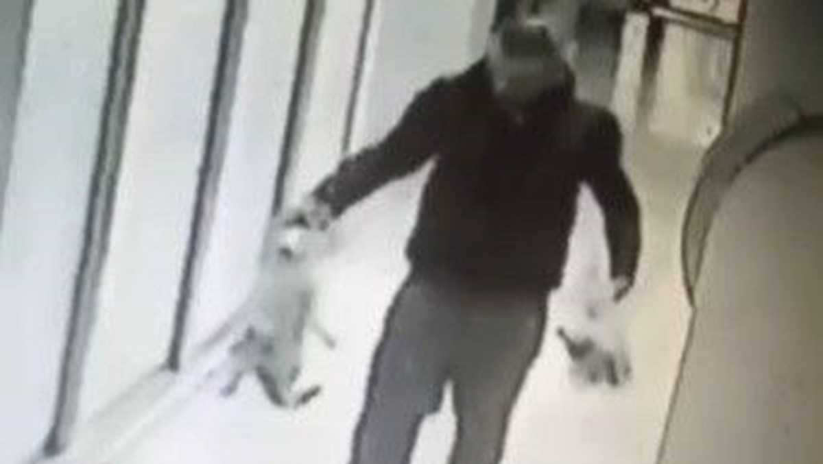İzmir'de kedileri öldürüp apartmanın bahçesine atan kişi kamerada İzmir'de kedileri öldürüp apartmanın bahçesine atan kişi kamerada