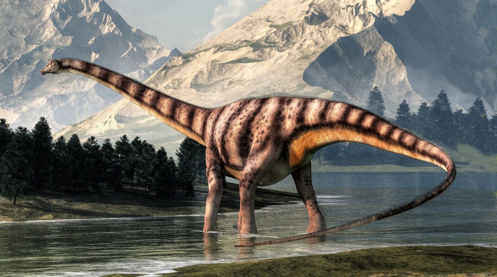 Araştırma: Dünyanın en uzun dinozoru bulunmuş olabilir - 2