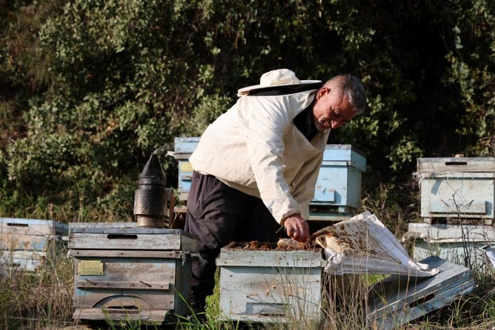 Arı ölümleri artınca nedeni araştırıldı yalancı bahar arıları vurdu - 3