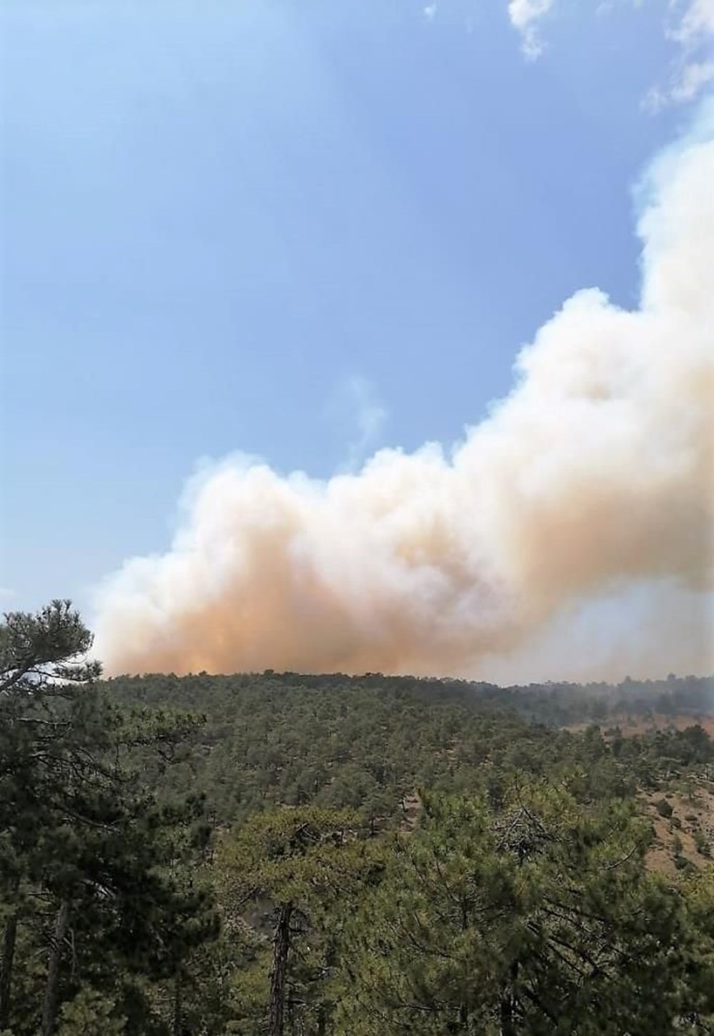 Bolu, Antalya ve Denizli’de orman yangını - 5