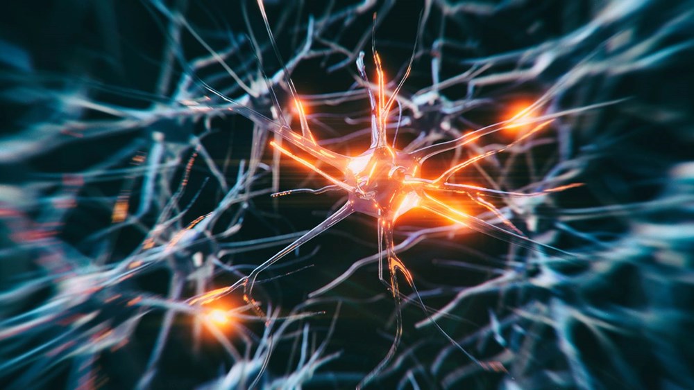 Bilim insanları açıkladı: Alzheimer riskini azaltıyor - 2