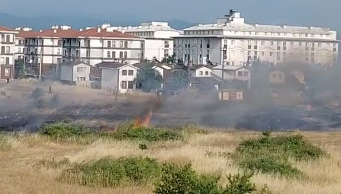 Elektrik tellerine kuş çarpınca yangın çıktı