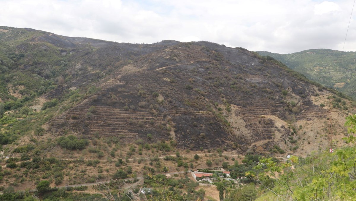 Tekirdağ'daki orman yangını söndürüldü