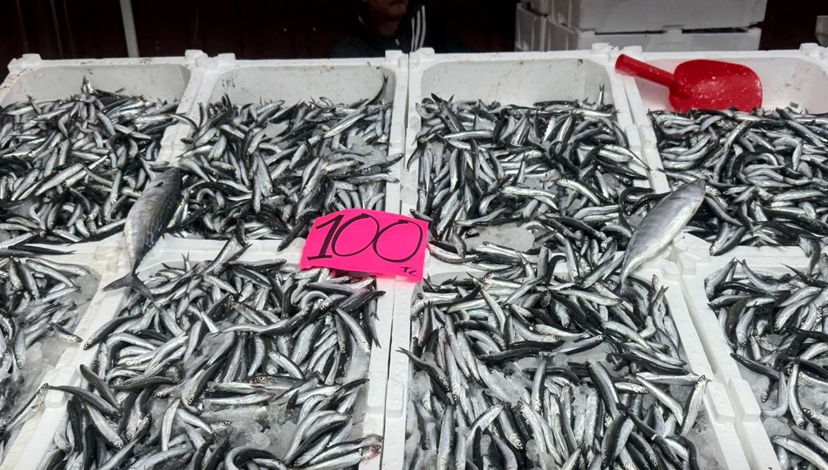 Fiyatı 100 liraya kadar düştü: Bolluk olunca ilgi arttı