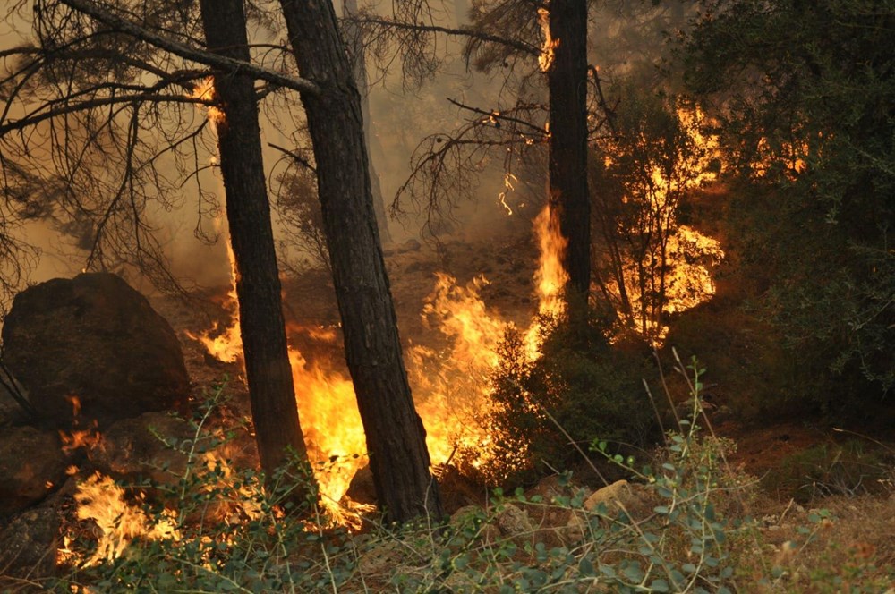 Datça'da orman yangını: Çıkış nedeni belli oldu - 10
