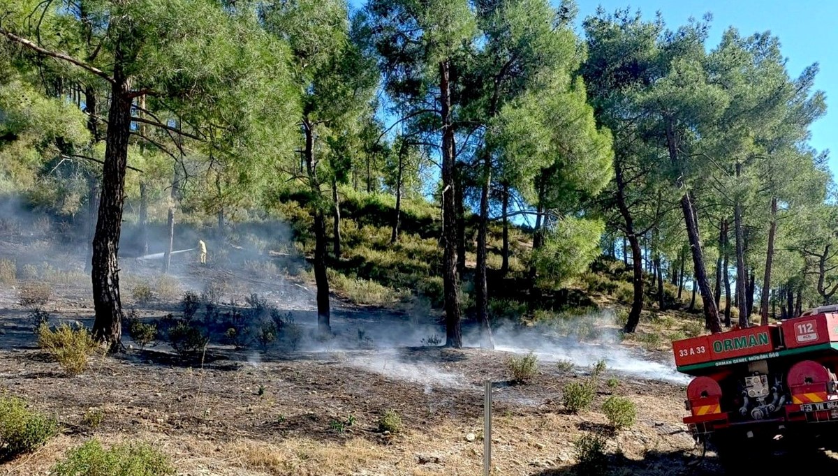 Mersin'de çıkan orman yangını kontrol altına alındı