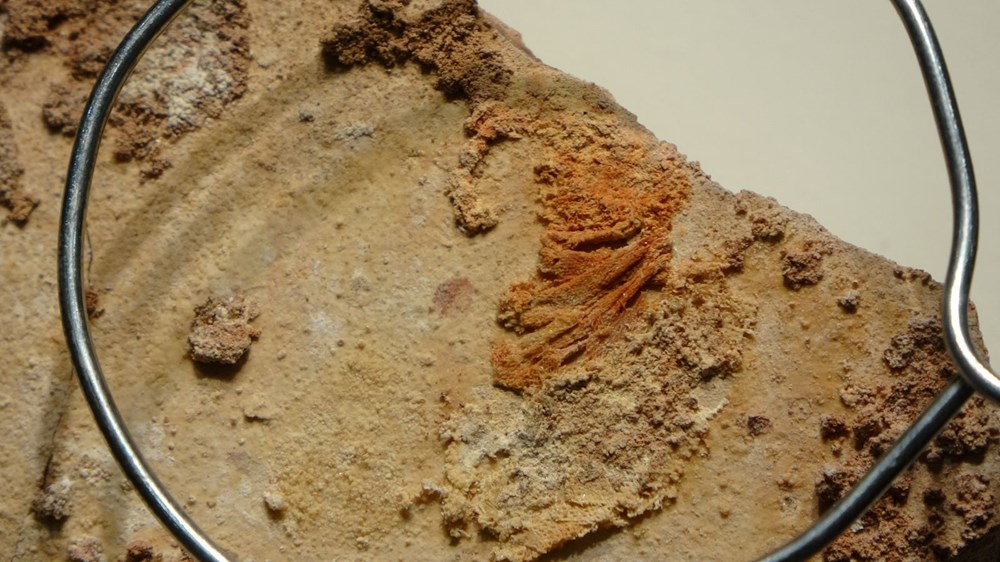 30 yıl önce bulunmuştu: 3 bin 500 yıllık Hitit keten kumaşı - 1