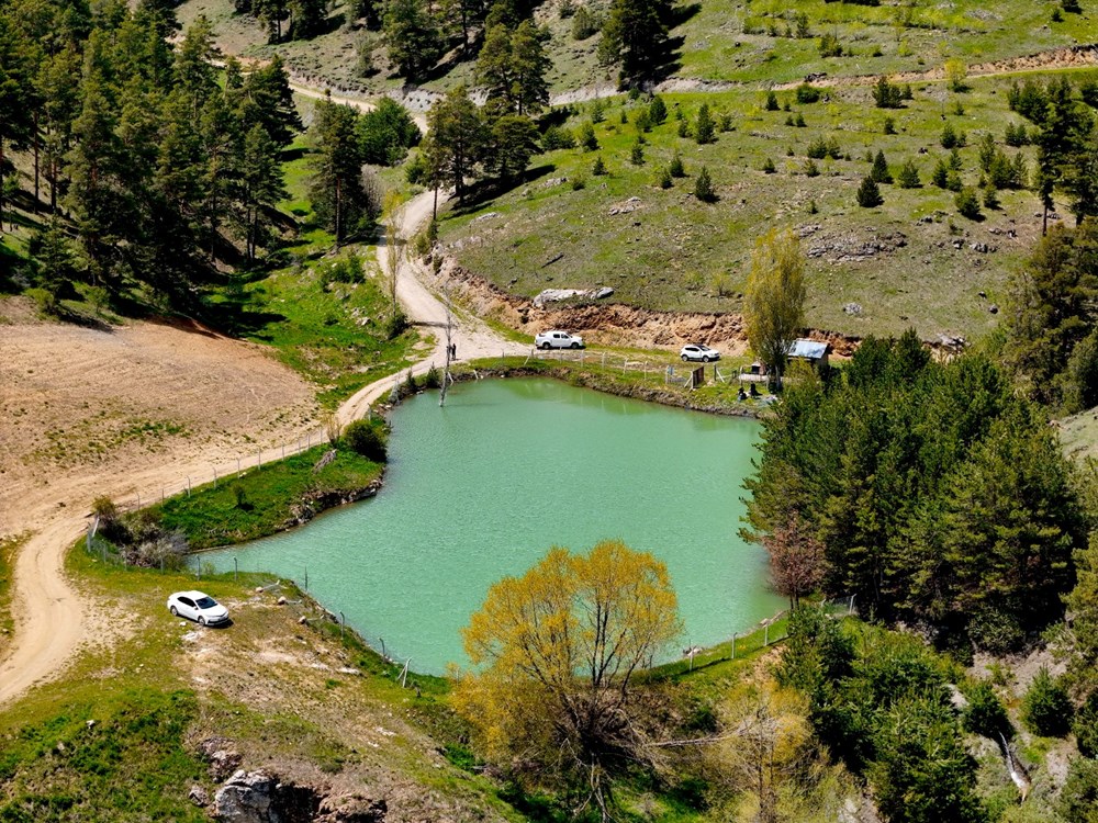 Yozgat'taki Çerçialan Göleti doğaseverleri ağırlıyor - 3