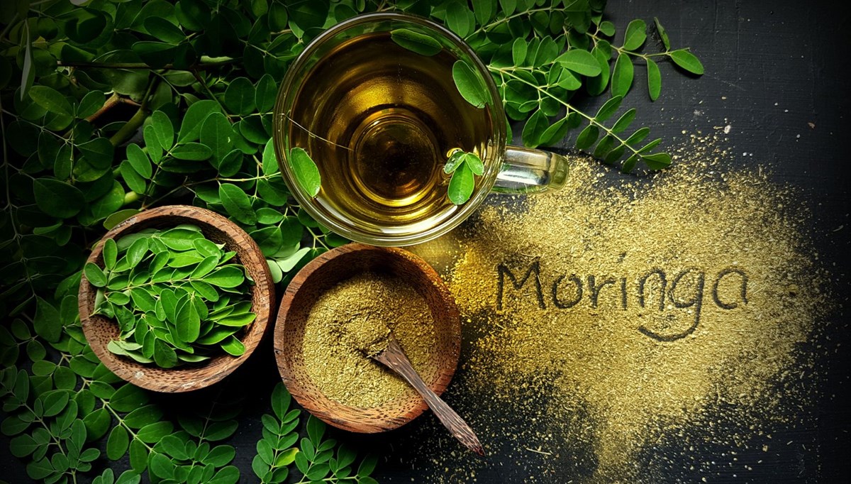 Moringa çayı nedir?