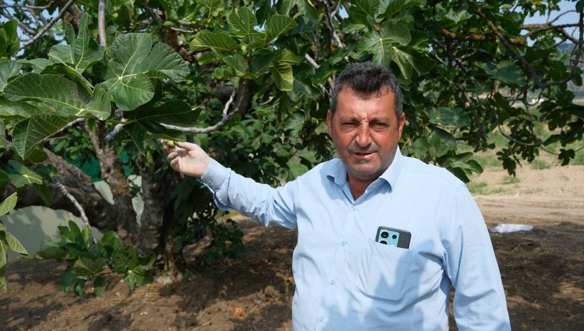 Dünyada sadece Bursa'nın 30 köyünde var: Kate Middleton'un hamilelik döneminde tüketmesiyle ünlendi