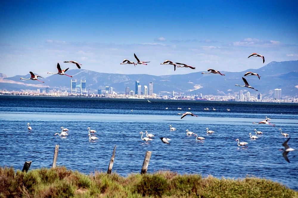 İzmir