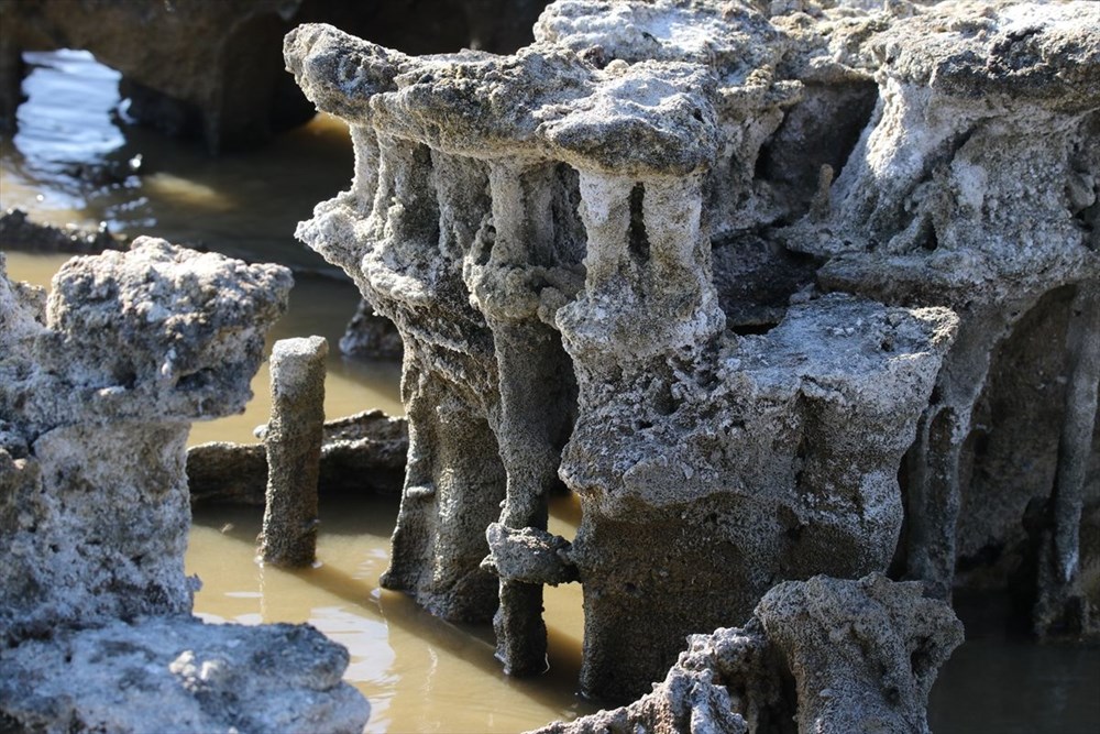 Van Gölü'nde su çekilince binlerce yıllık mikrobiyalitler görüntülendi - 5