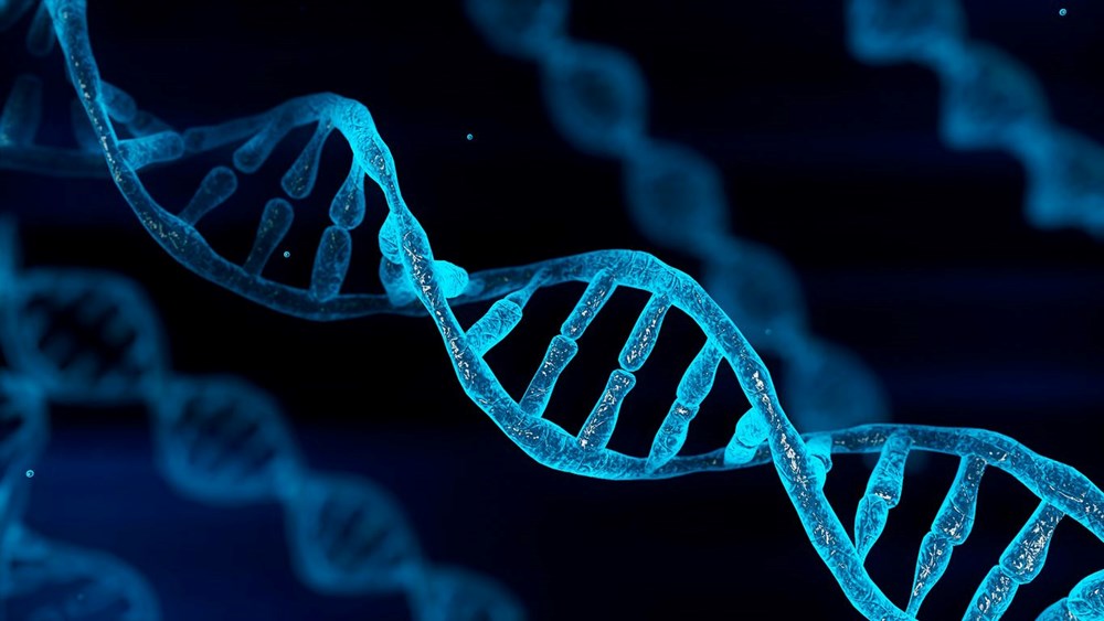 Bilim insanları ilk kez tam insan genomunu sıraladı - 5