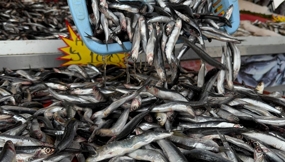 Hamsi kilosu 100 liradan tezgaha indi