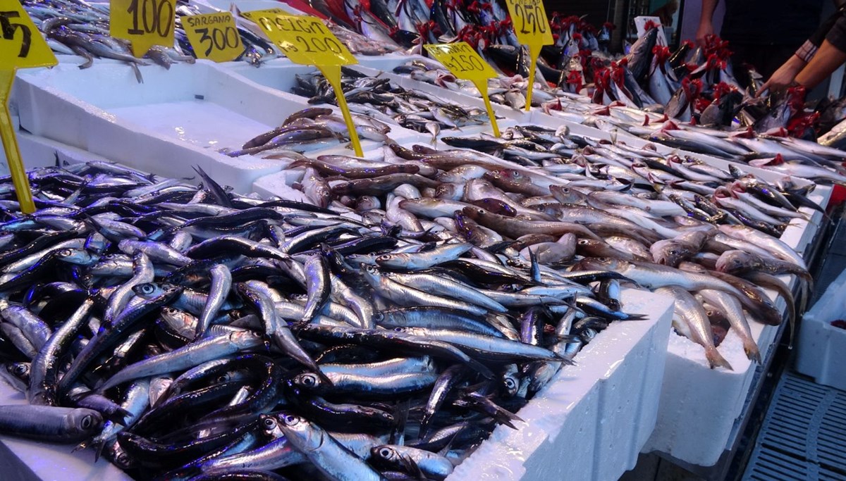 Türkiye'nin 11 aylık hamsi ihracatı artış