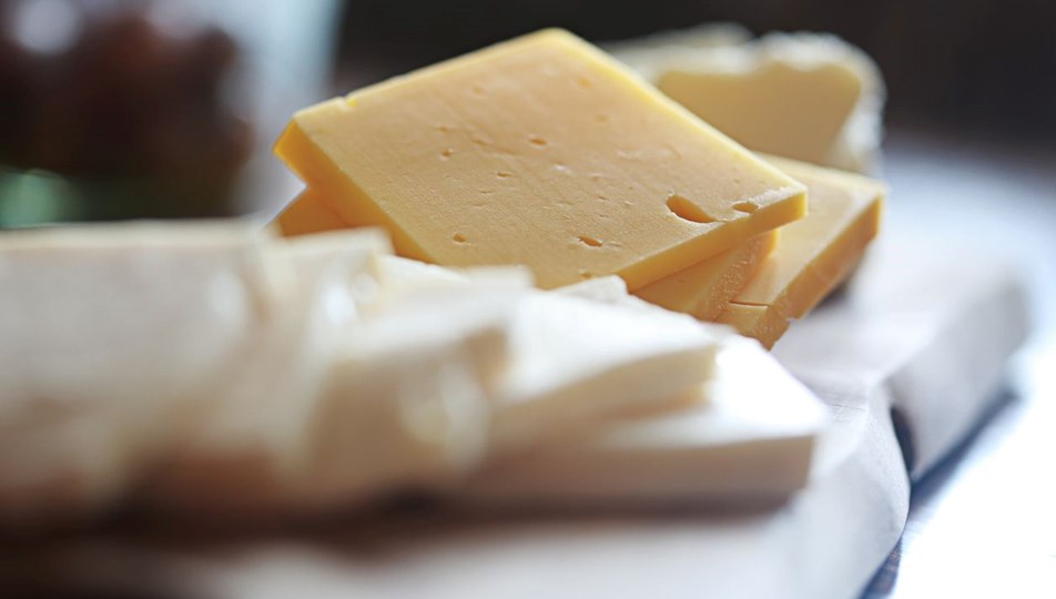 Hayvan sütü olmadan peynir üretildi: Aynı tada sahip, hedef 2028'de seri üretim!
