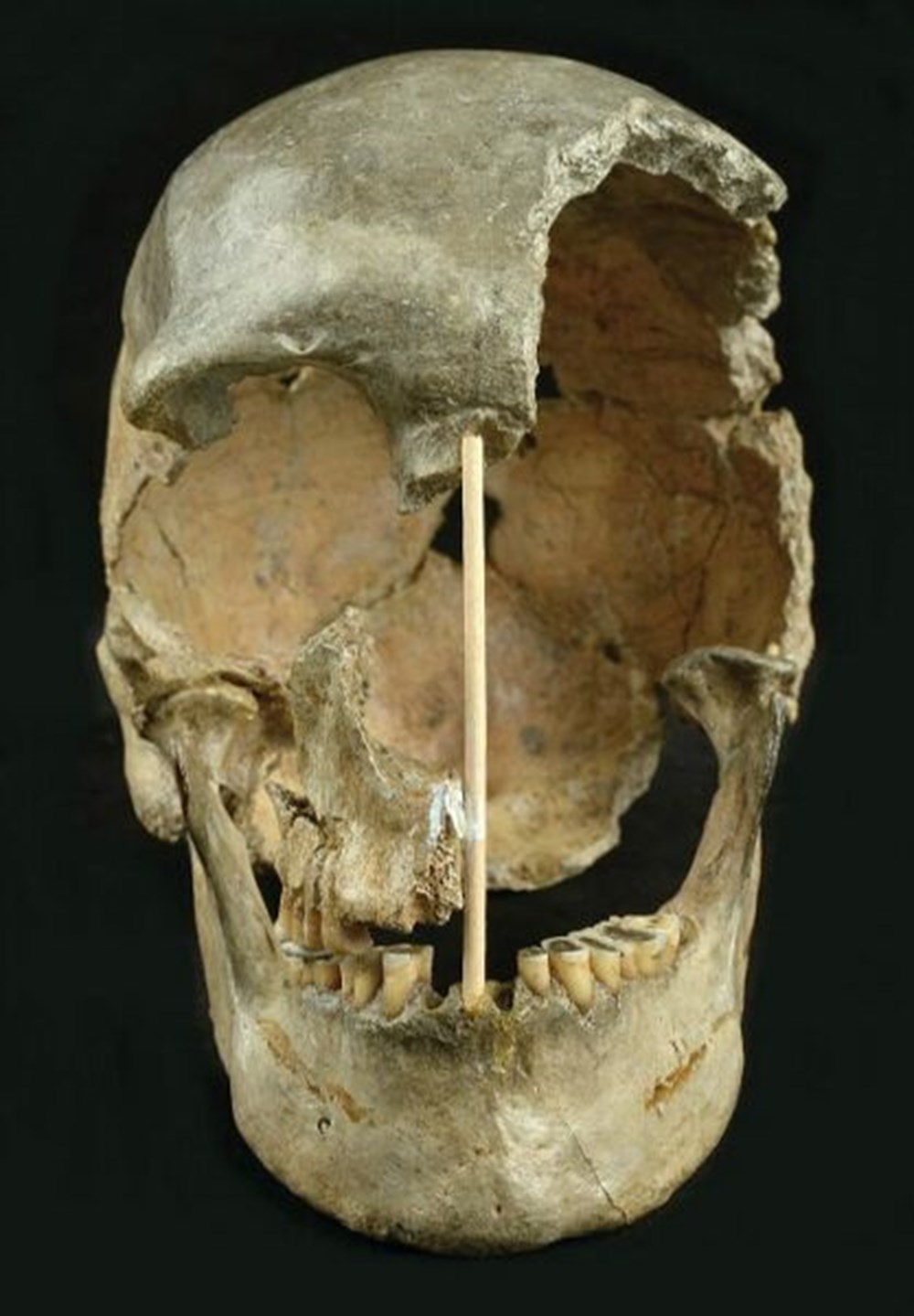 Modern insanlara ait en eski DNA bulundu: 45 bin yaşında - 3