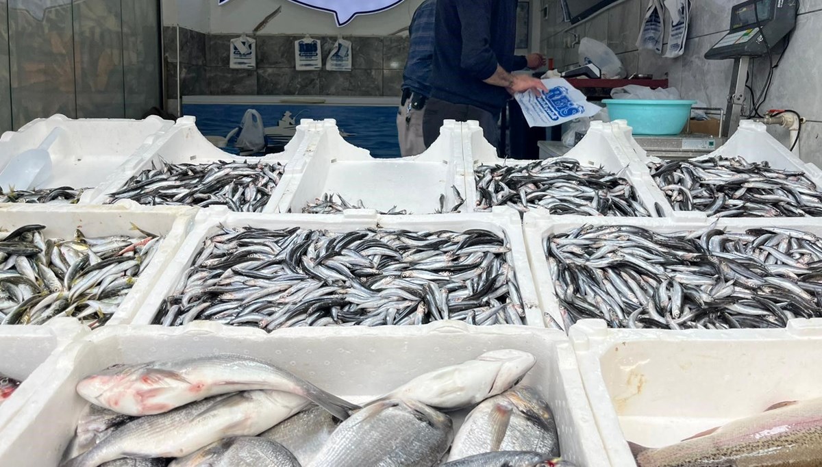 Fiyatlar hareketlendi: Tezgahta en çok satılan balık Fiyatlar hareketlendi: Tezgahta en çok satılan balık