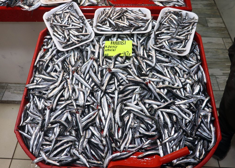 Çanakkale’de havalar ısındı balık tezgahları doldu, fiyat düştü - 8