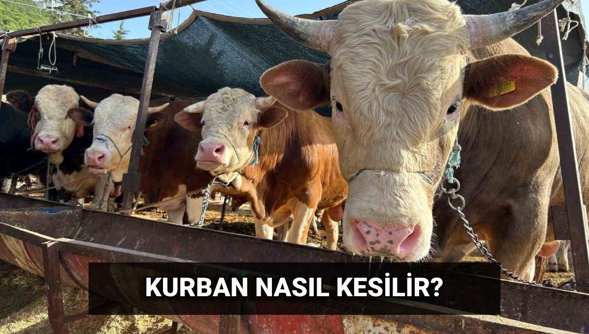 Kurban nasıl kesilir? Kurban keserken dikkat edilmesi gerekenler neler?