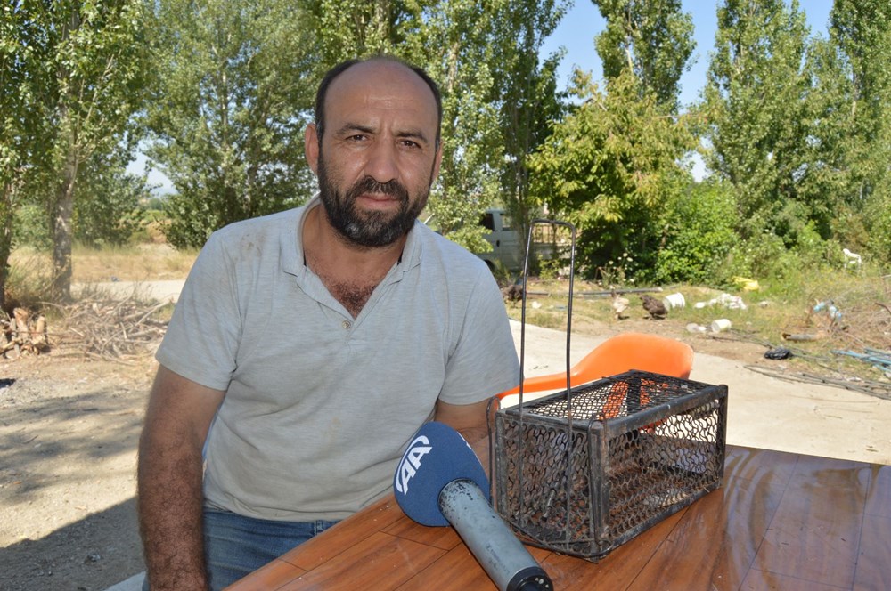 Afyonkarahisar'da nesli tehlike altında olan ağaç yediuyuru görüldü - 3
