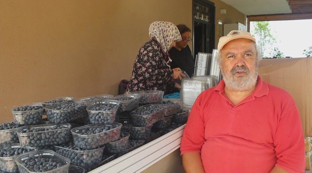 Halk arasında "mavi yemiş" olarak bilinen süper meyve, kilosu 300 TL! Altın gibi tartılarak satılıyor, 7 hastalığın şifası ondaymış - 12