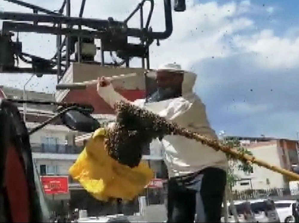 Hastanede panik: Acil servisi arılar bastı - 5