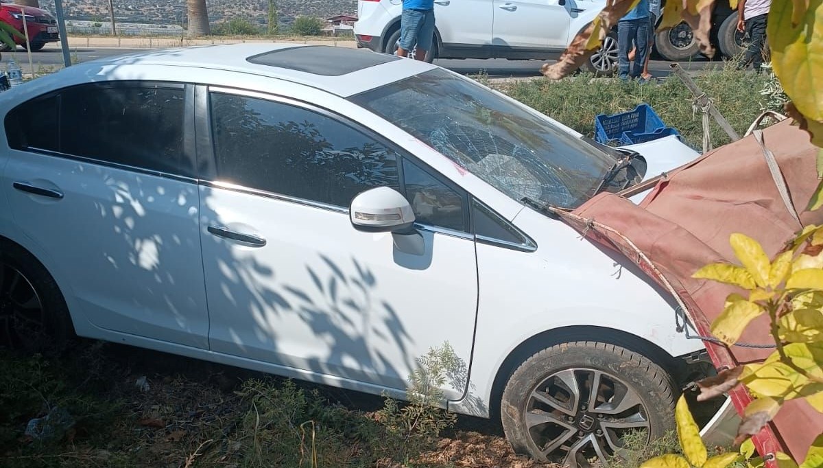 Zeytin toplayan işçilere otomobil çarptı: 1 ölü