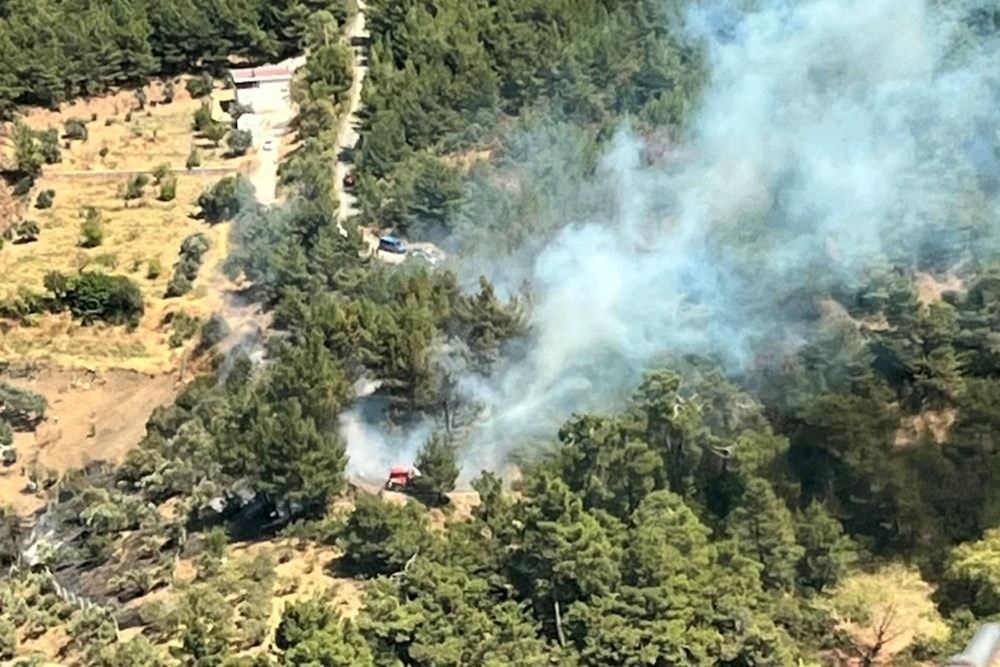İzmir'de orman yangını - 3