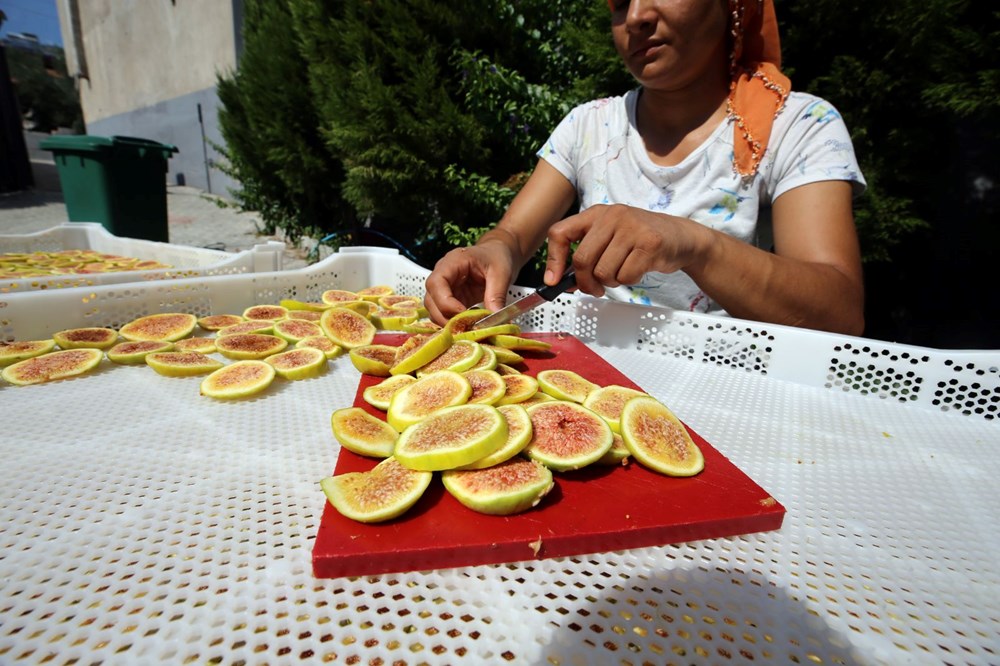 Aydın'da 'incir cipsi' mesaisi - 10