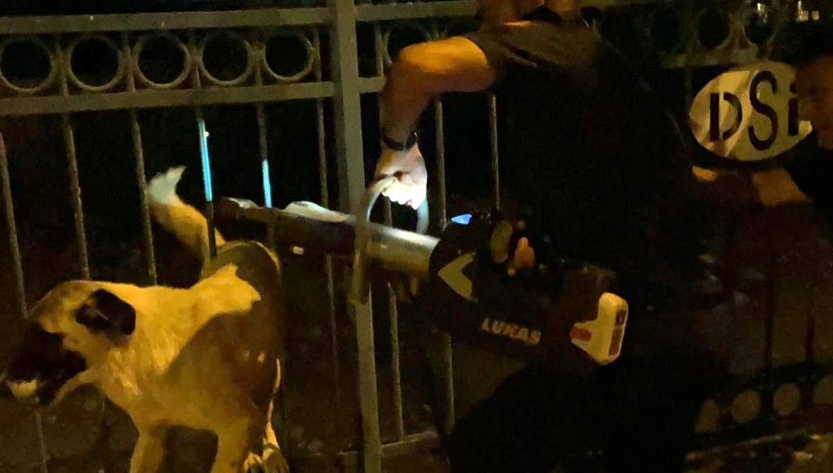 Hatay’da demir korkuluklara sıkışan köpeği itfaiye ekibi kurtardı Hatay’da demir korkuluklara sıkışan köpeği itfaiye ekibi kurtardı