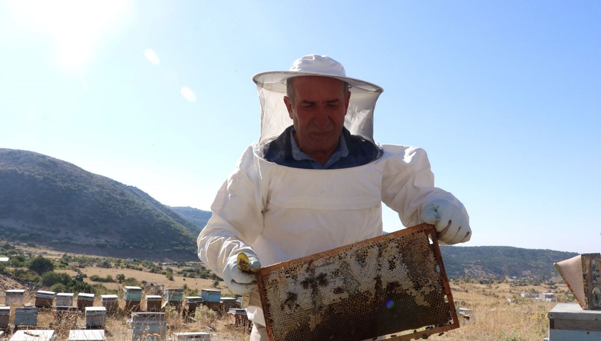 25 yıl önce mobilya işini bırakıp başladı: Bu yıl 2 ton üretti