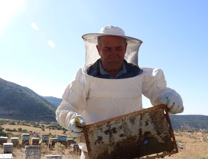 25 yıl önce mobilya işini bırakıp başladı: Bu yıl 2 ton üretti