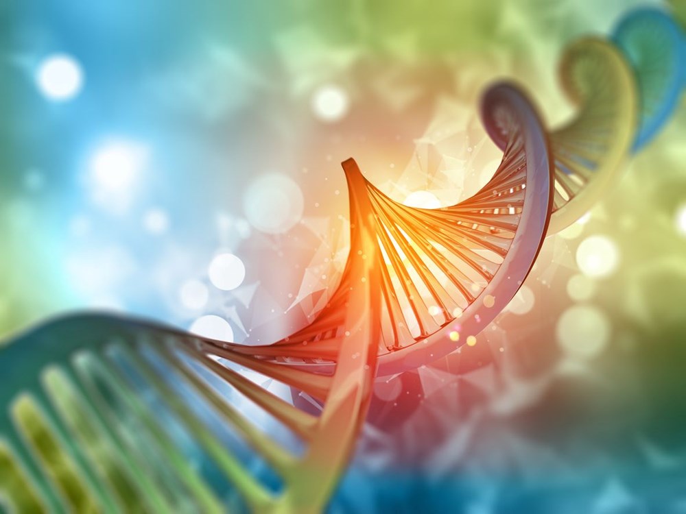 Bilim insanları ilk kez tam insan genomunu sıraladı - 2