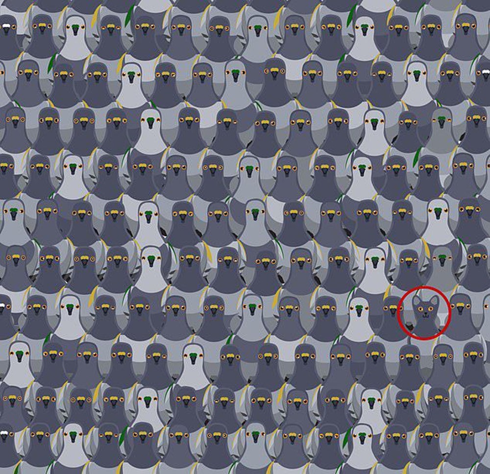 Bu görsel size kim olduğunuzu söylüyor: Resimde ilk önce hangi hayvanı gördünüz? - 72